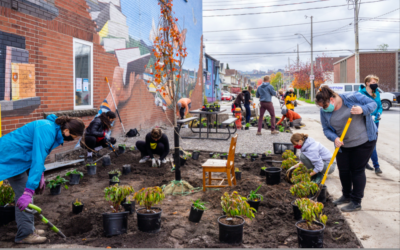 Pandemic Highlights the Need for More Equitable Community Green Spaces!