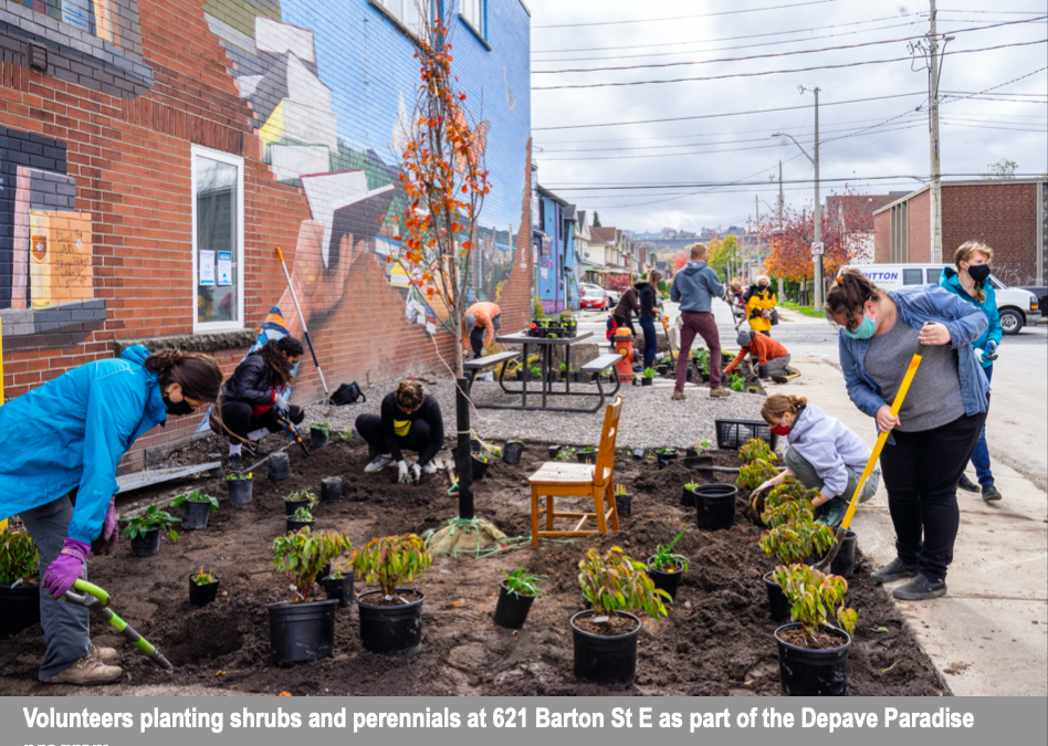 Pandemic Highlights the Need for More Equitable Community Green Spaces!