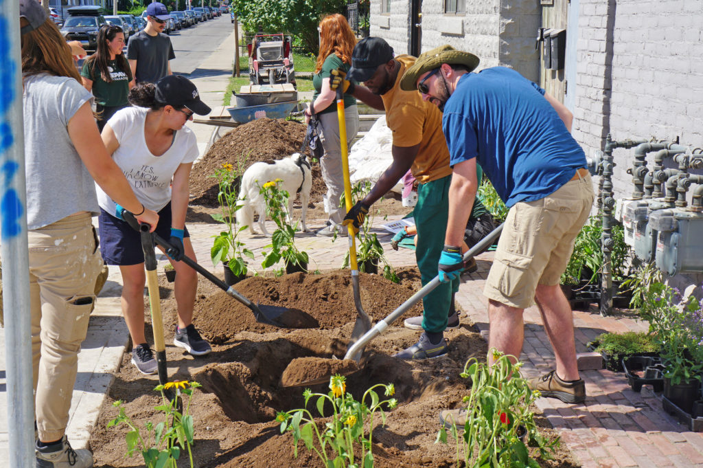 Volunteers planting at Hello Baked in Hamilton